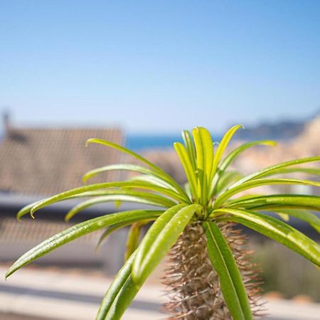 Apartament Altea Spaniahome Exteriör bild