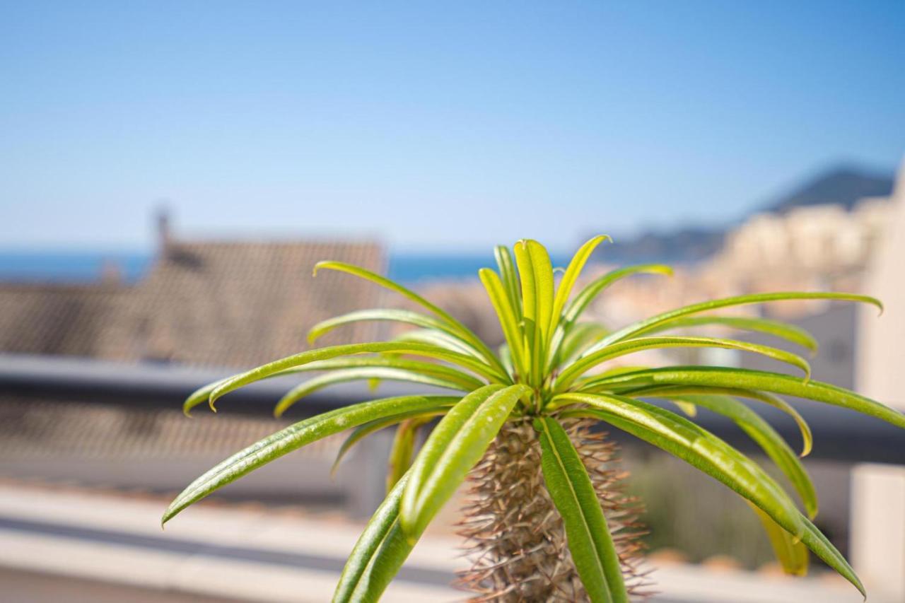 Apartament Altea Spaniahome Exteriör bild
